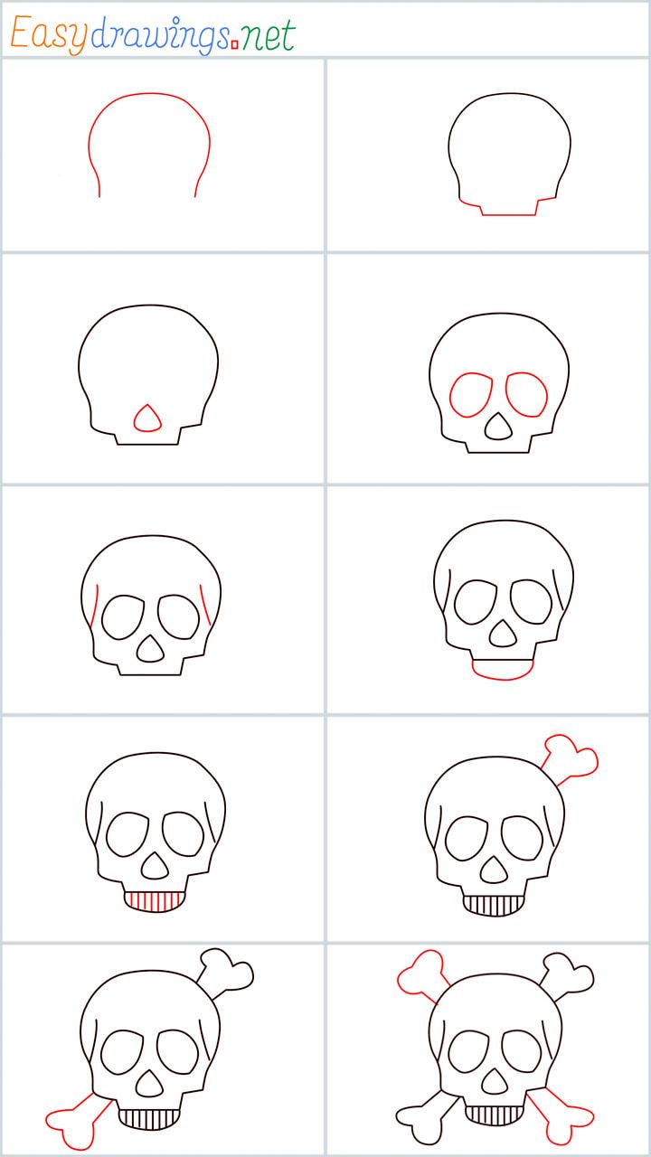 How to draw a Skull step by step - [10 Easy Phase] Easy Halloween ... image.