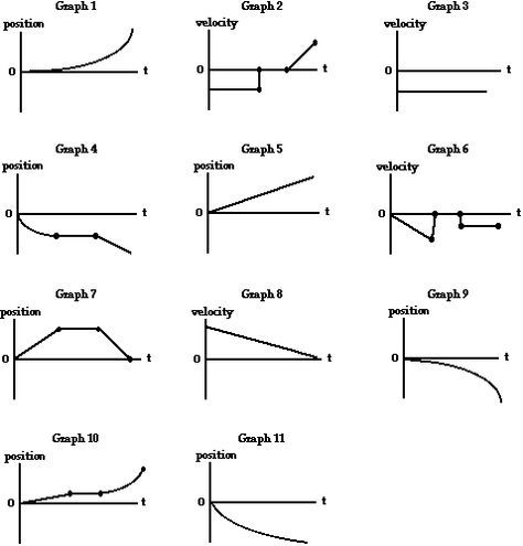 Graph That Motion Physical Science Middle School, Elementary School ...