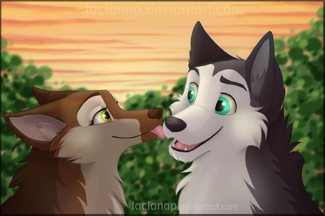 Cartoon Wolves Kissing