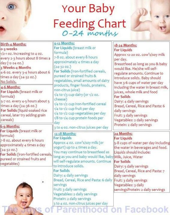 Newborn Feeding Schedules And Guidelines - Dixon Verse