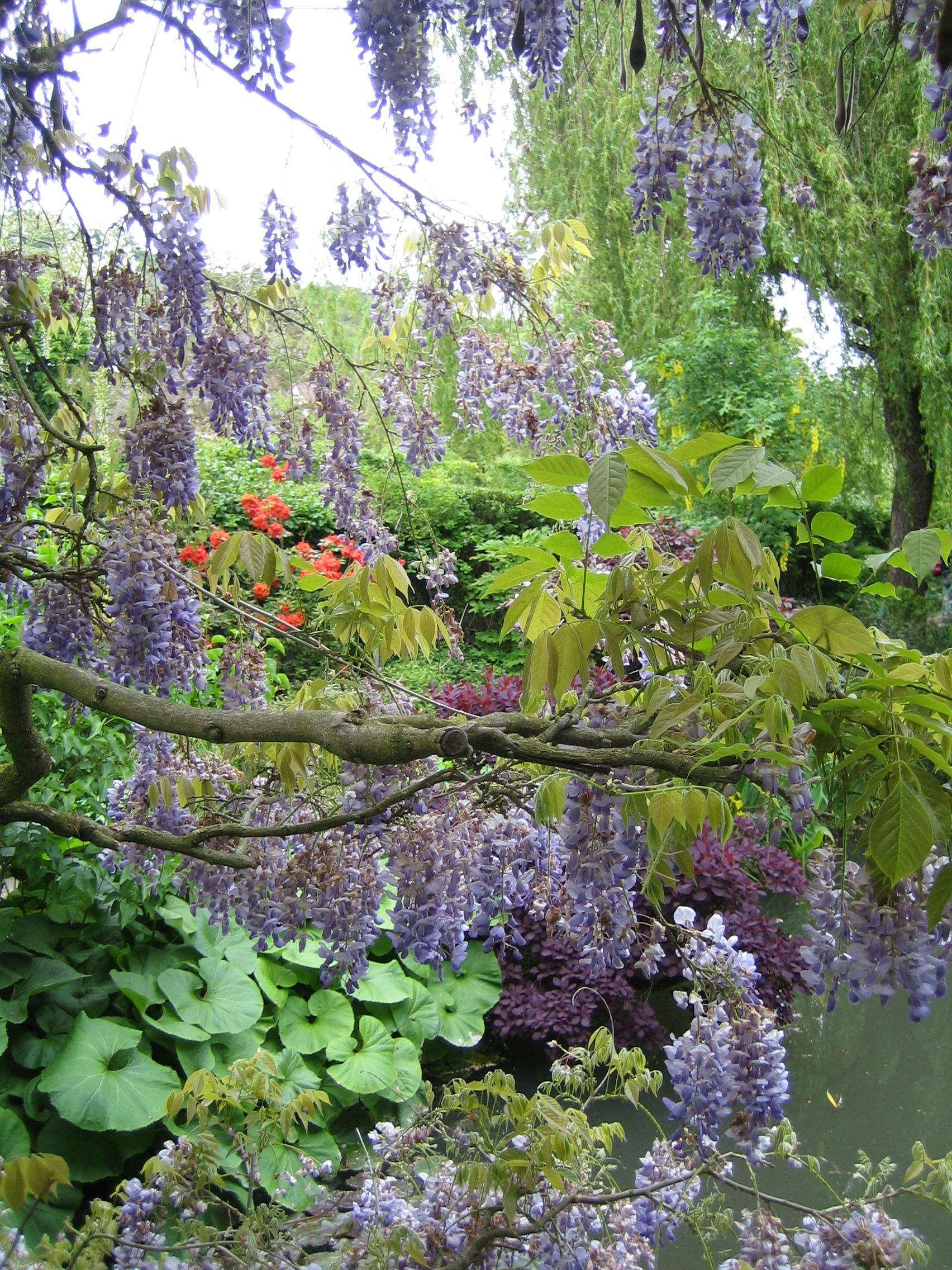 Monet's garden Giverny, France Claude Monet, Monet Garden Giverny ...