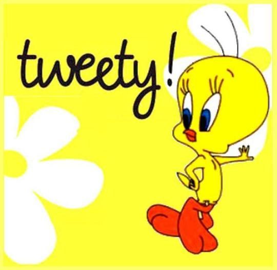 tweety | Tweety Vblog Tweety Bird Quotes, Betty Boop Pictures, Favorite ...