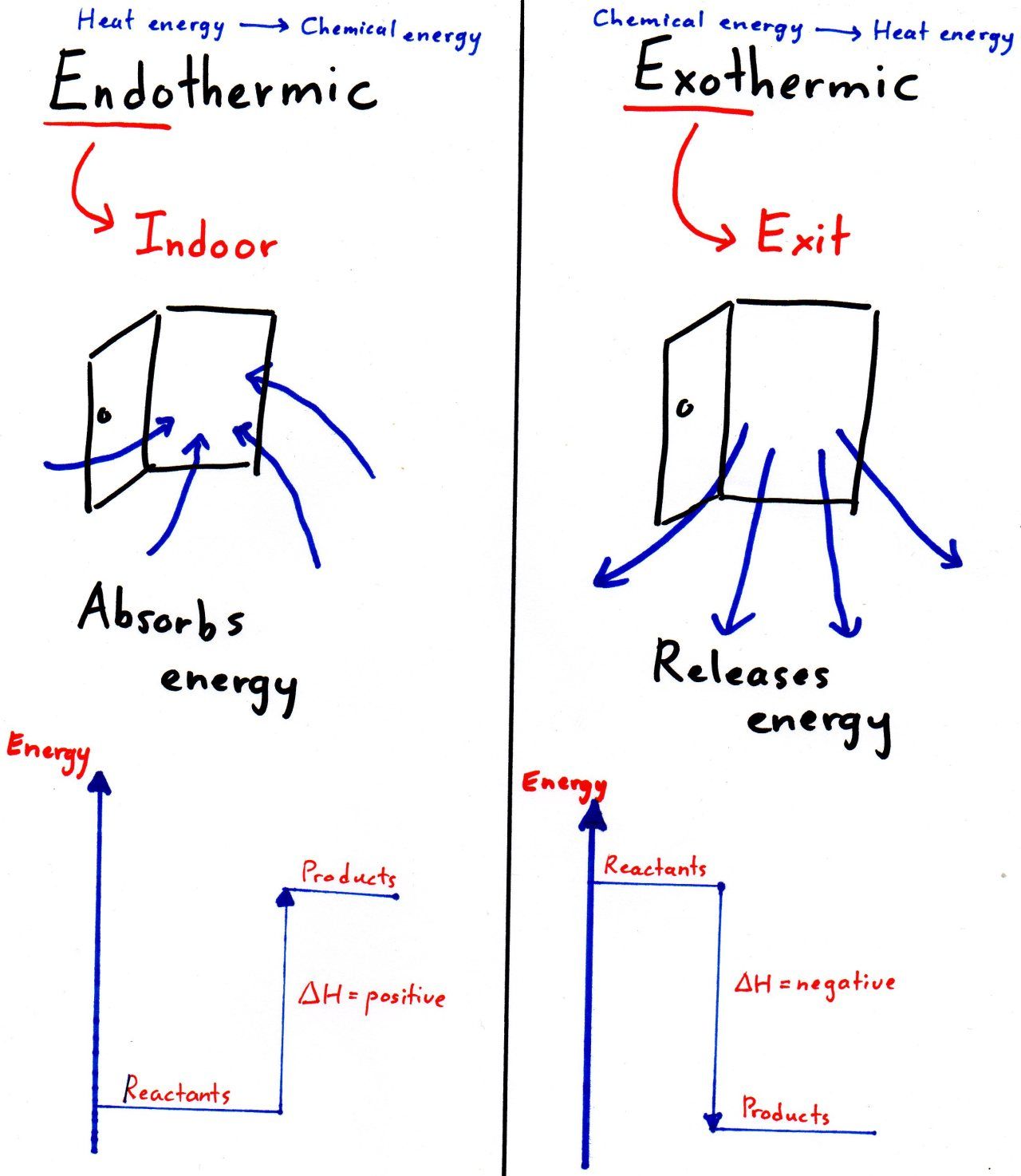 Exothermic And Endothermic Reaction Diagram