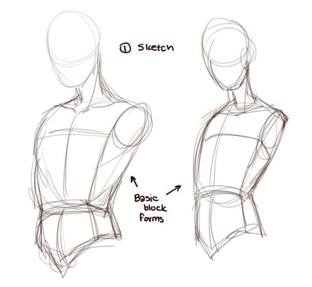 Yyyooooooooo Body Reference Drawing, Anatomy Reference, Art Reference ...