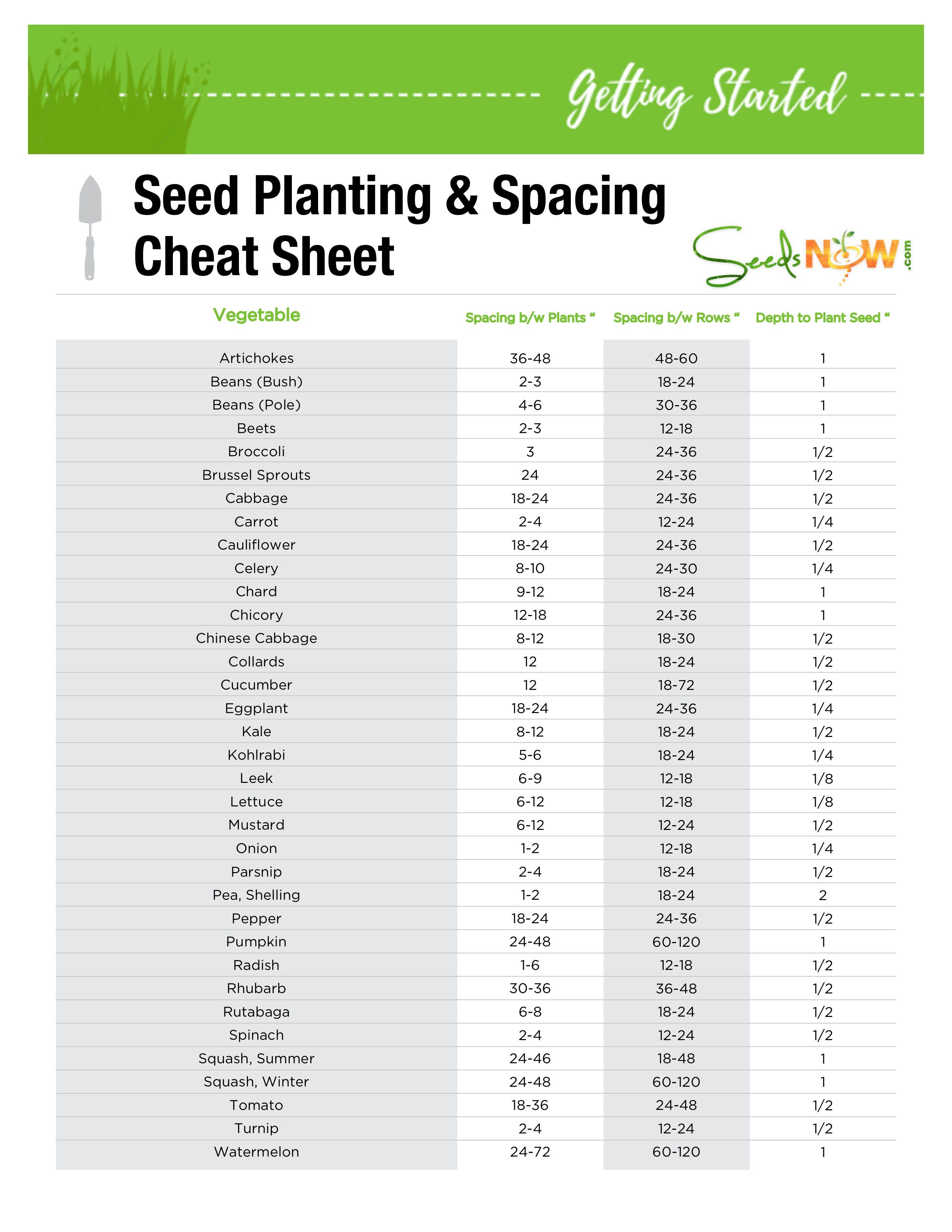 Printable Seed Starting Chart - Printable Templates Web2