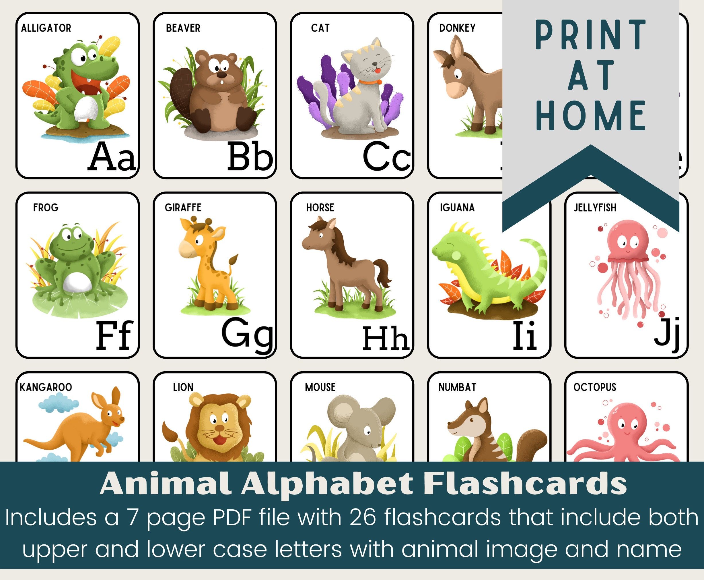 Animal Alphabet Flashcards for Toddlers and Preschoolers | ABC ...