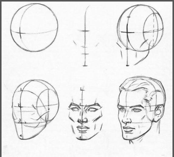 andrew loomis - Bing Images | Human figure drawing, Drawing heads ...