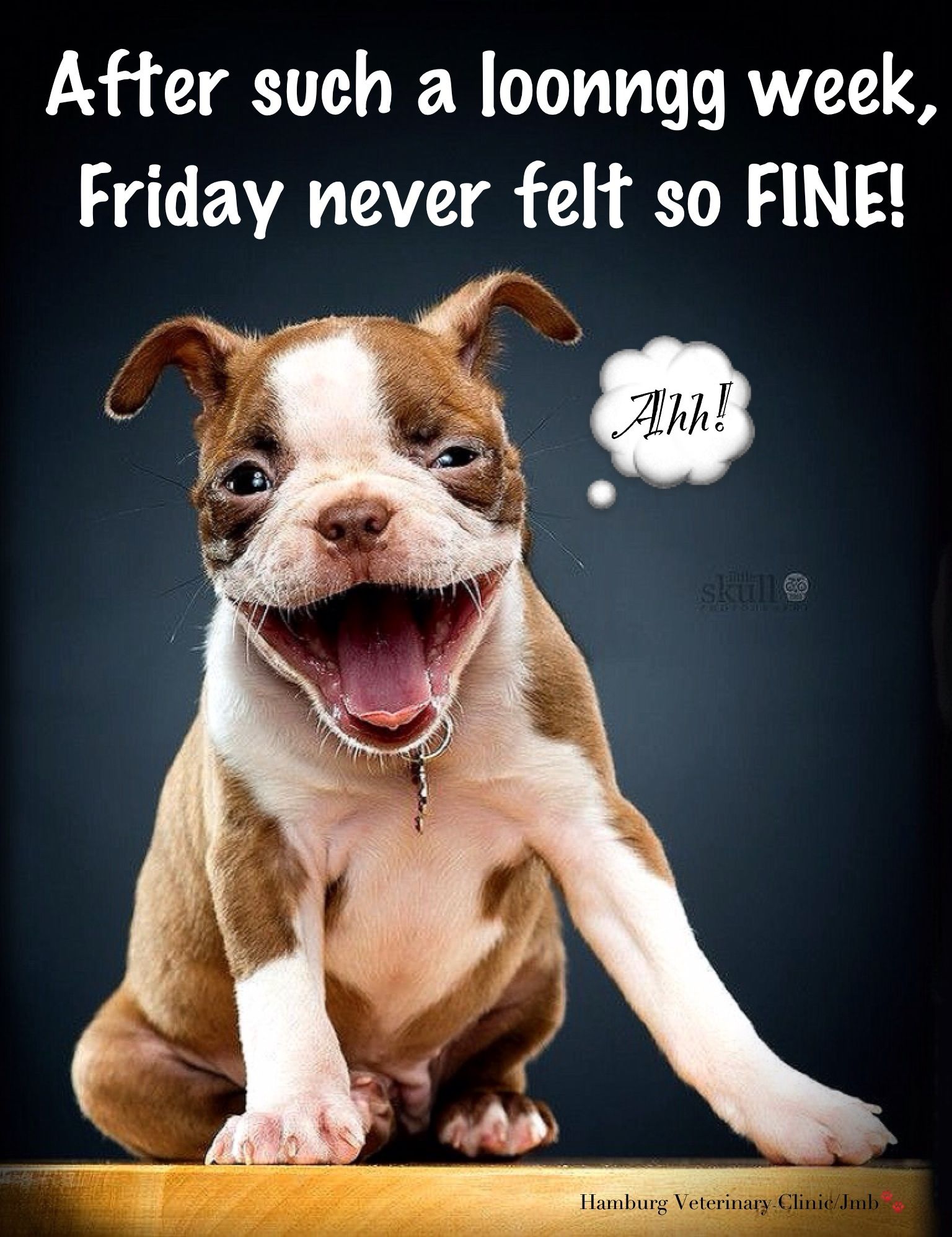 Friday Humor: Smile! Dog Funny - Long week! After such a long week ...