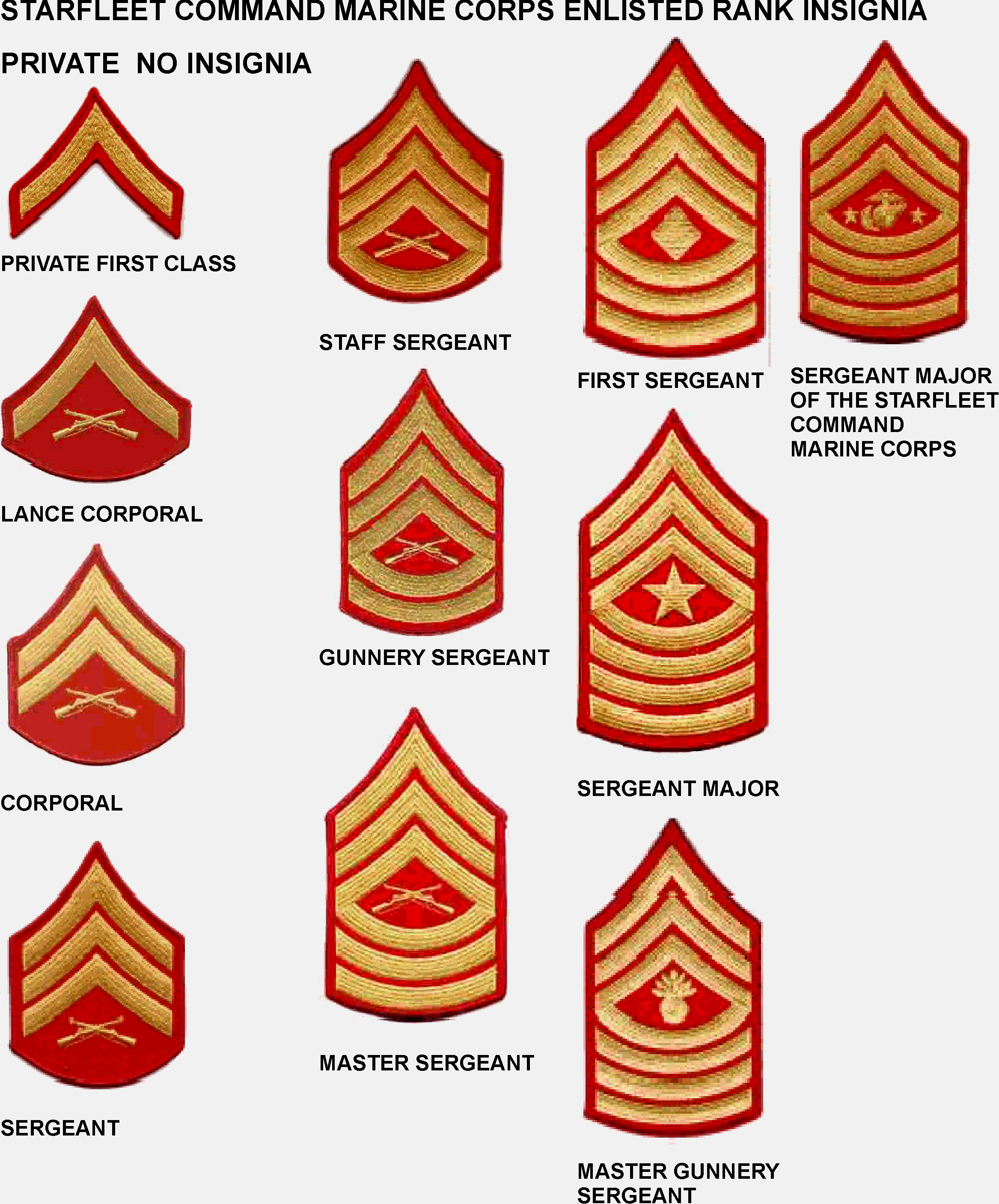 Usmc Enlisted Rank Structure | Porn Sex Picture