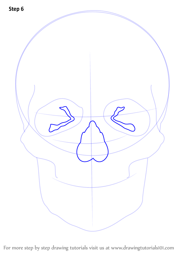 How to Draw a Skull (Skulls) Step by Step | Skull sketch, Skull art ...