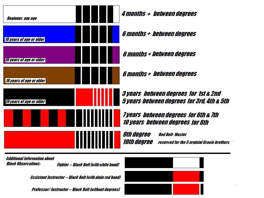 Pontuações Do Jiu Jitsu - MODISEDU