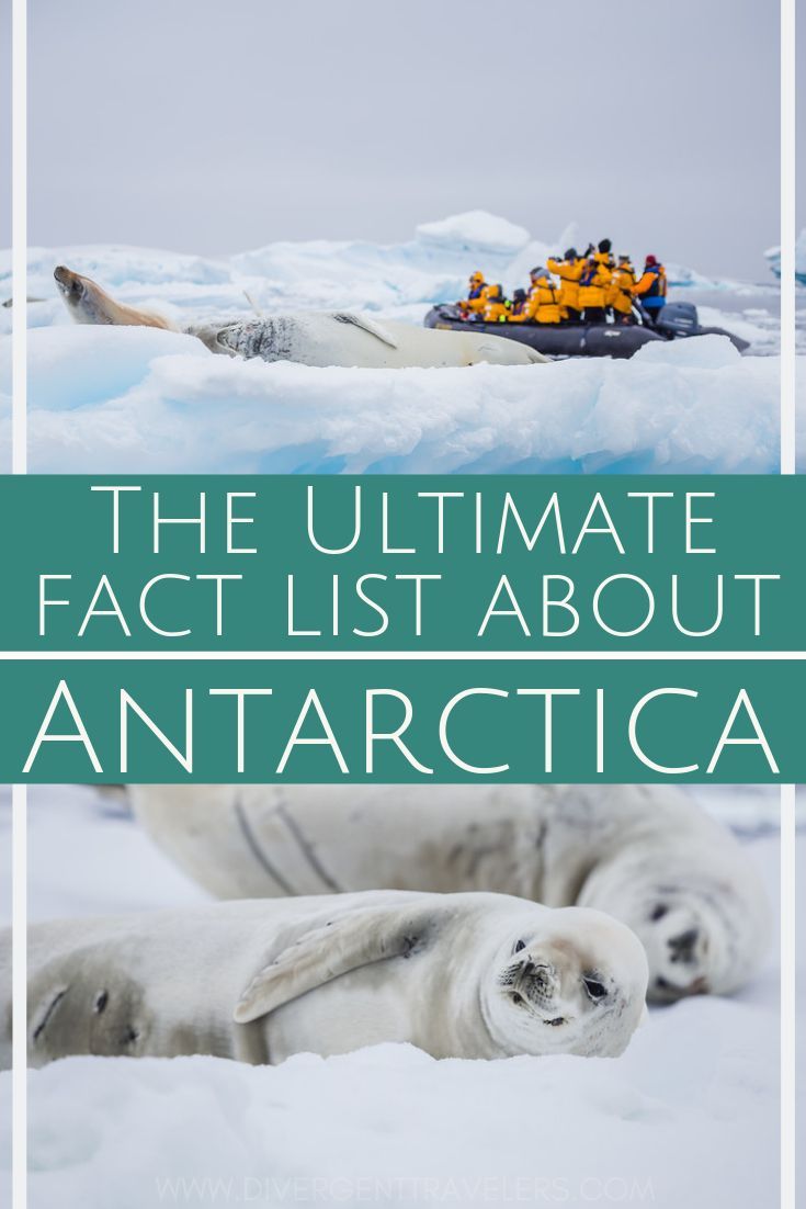 121 epic antarctica facts – Artofit