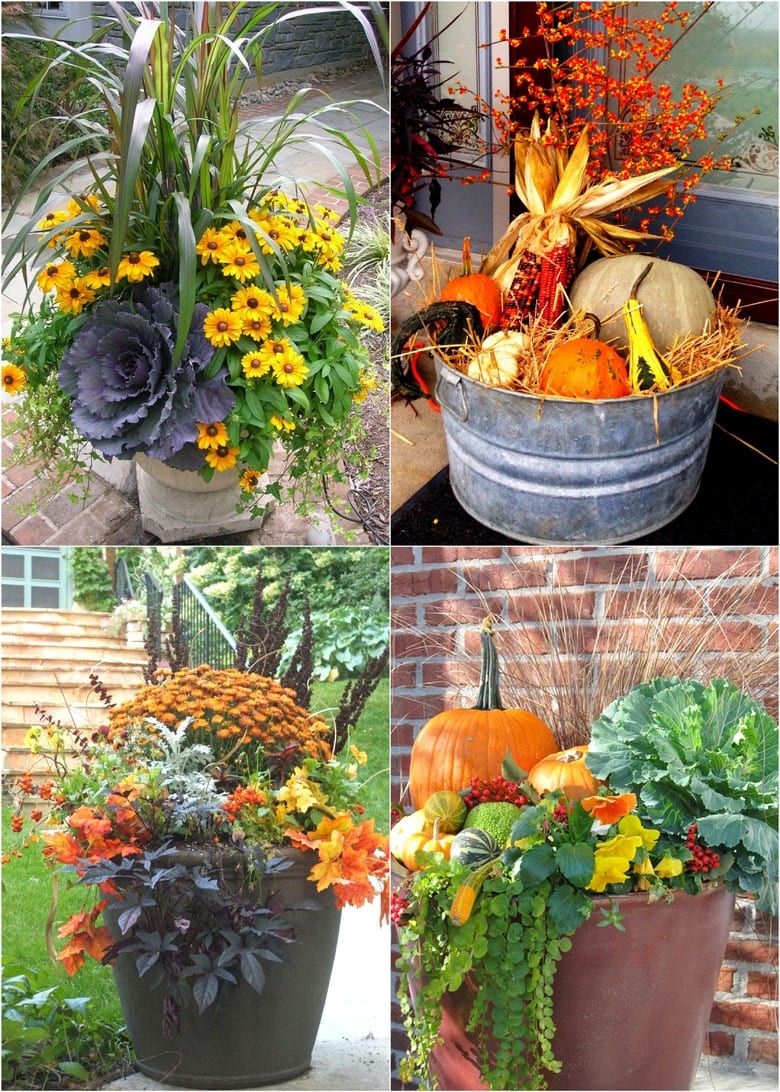 four pictures of different types of flowers in buckets