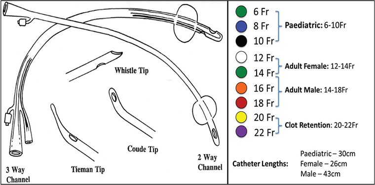 Male External Catheter Sizing Chart