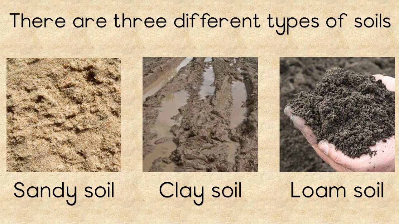 SOIL - Different types and the importance of Soil | Types of soil, Soil ...