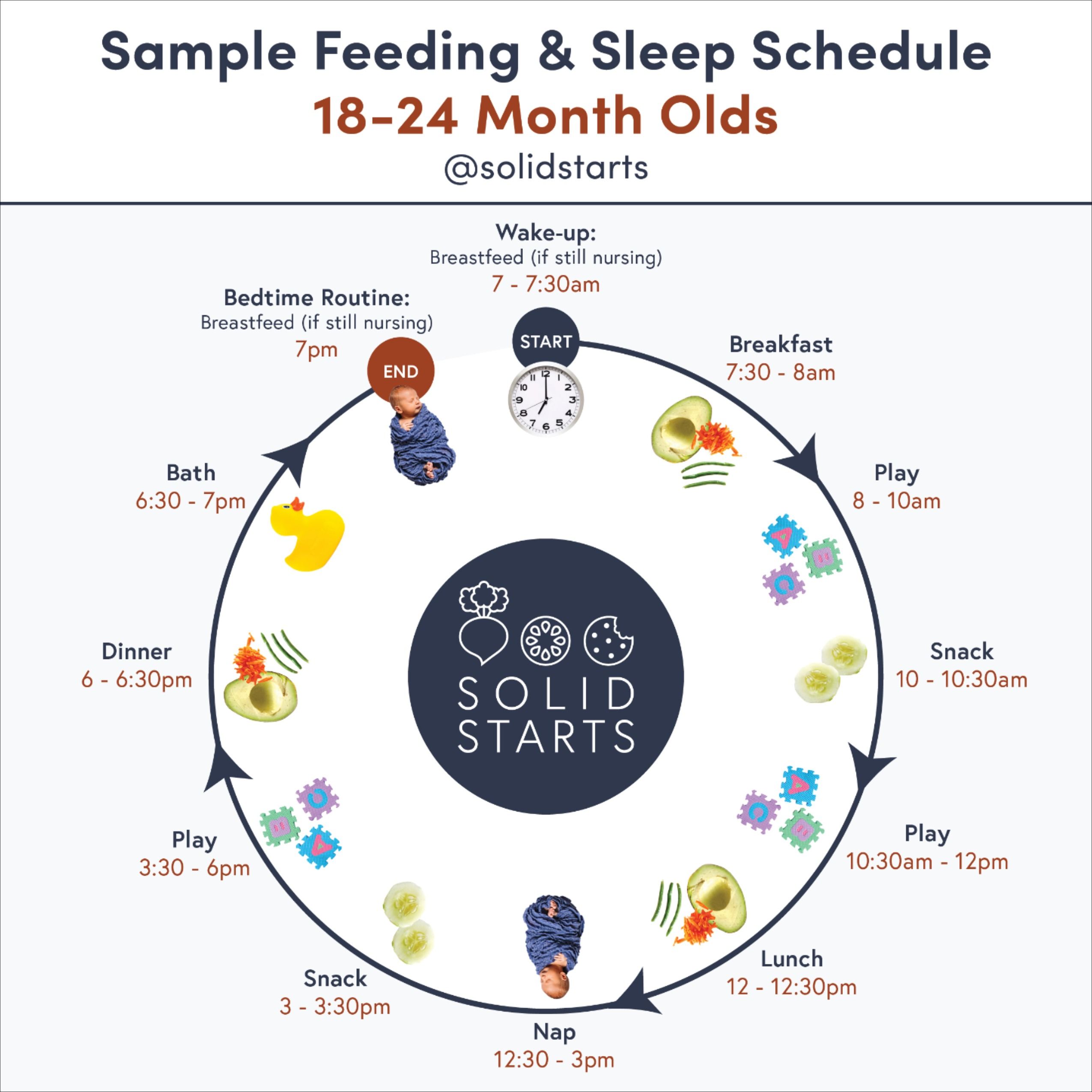 Our Feeding Schedules are here! As with any schedule, adapt to YOUR ...