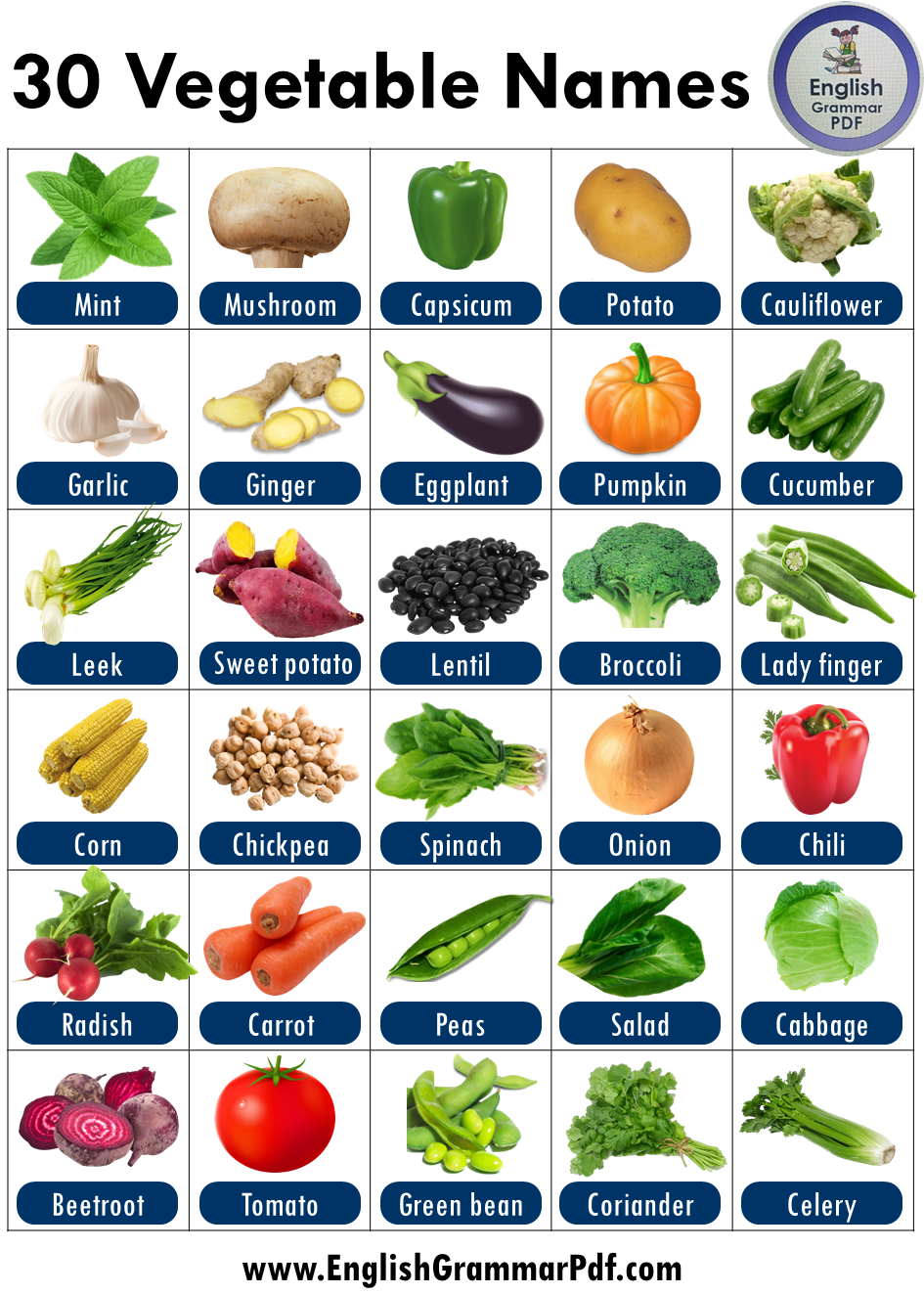 Vegetables Names With Pictures, Fruits And Vegetables Names, List Of ...