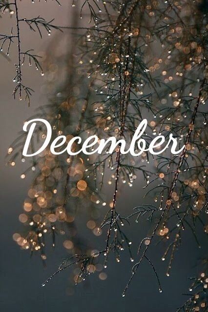 Sưu tập 777 December background aesthetic Chất lượng cao, tải miễn phí