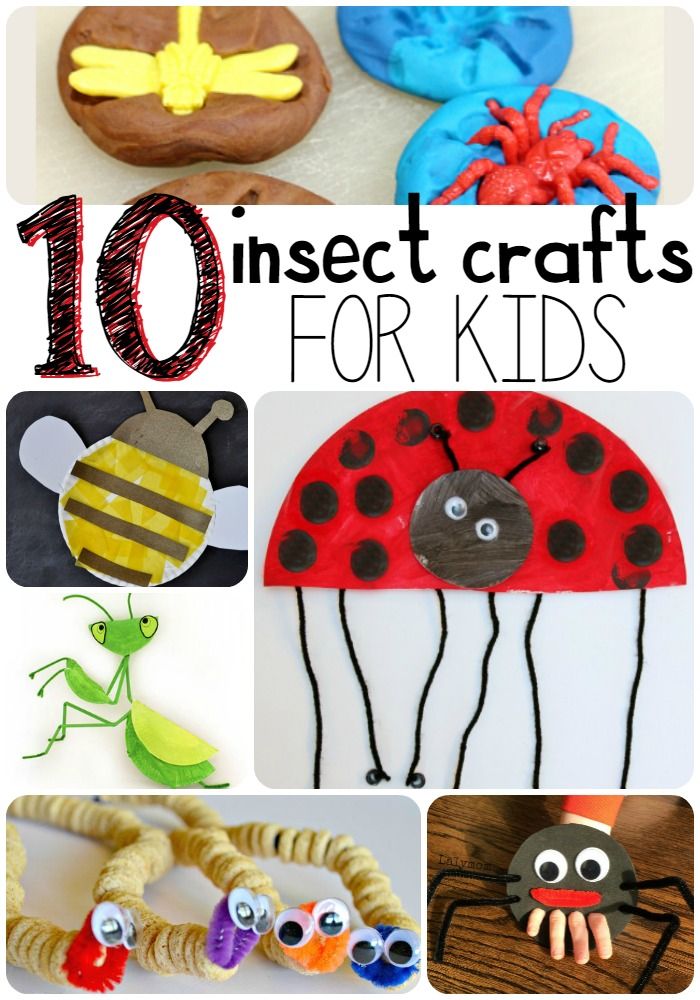 10 Insect Crafts for Kids | Insect crafts, Arts and crafts for kids