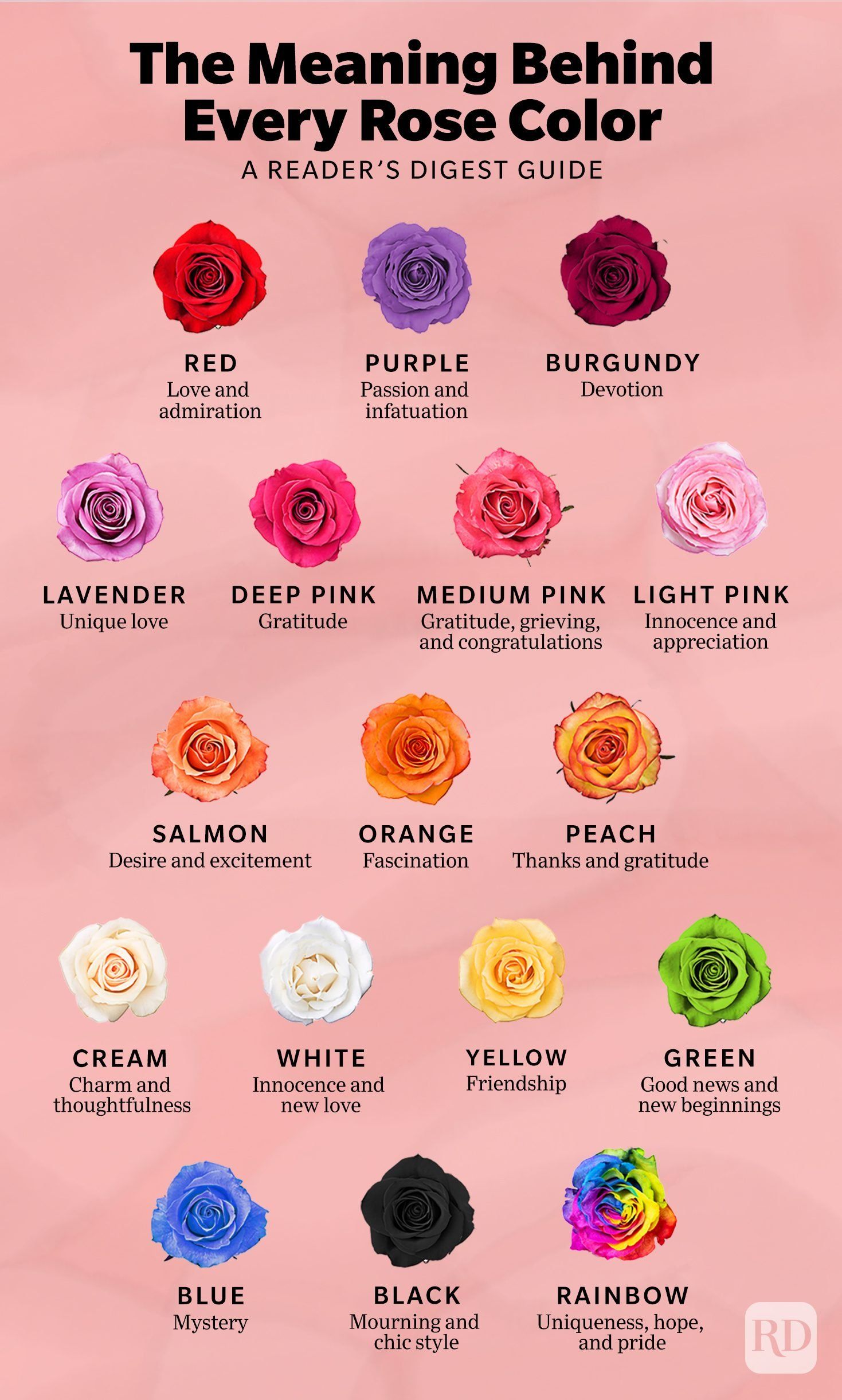 Rose color meanings, Color meanings, Flower meanings