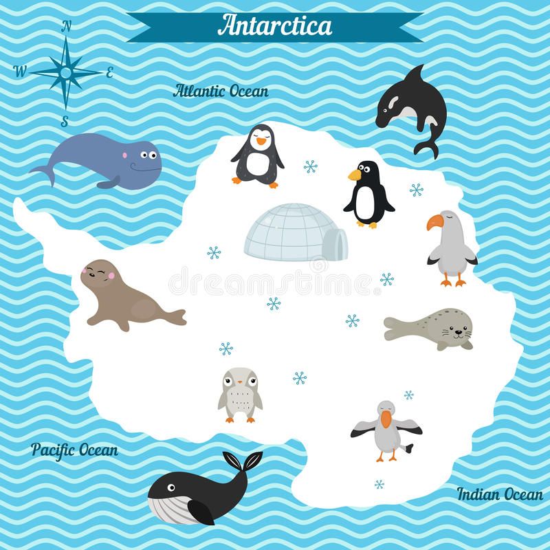 Related image | Antarctic animals, Cartoon map, Antarctica