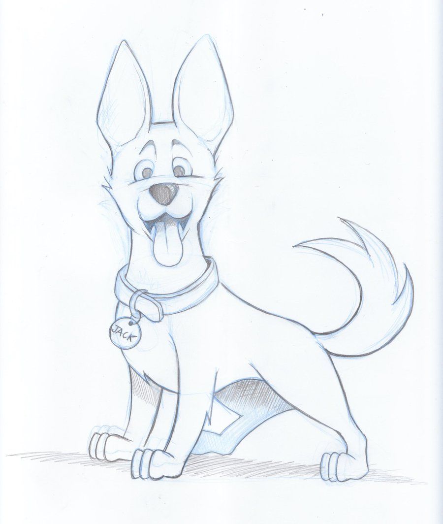 Kelpie Dog Sketch by timmcfarlin on deviantART Cartoon