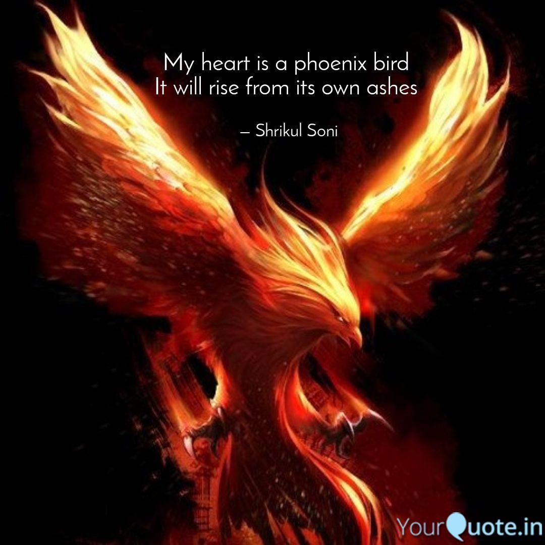 a fire bird with the words, my heart is a phoenix bird if will rise ...