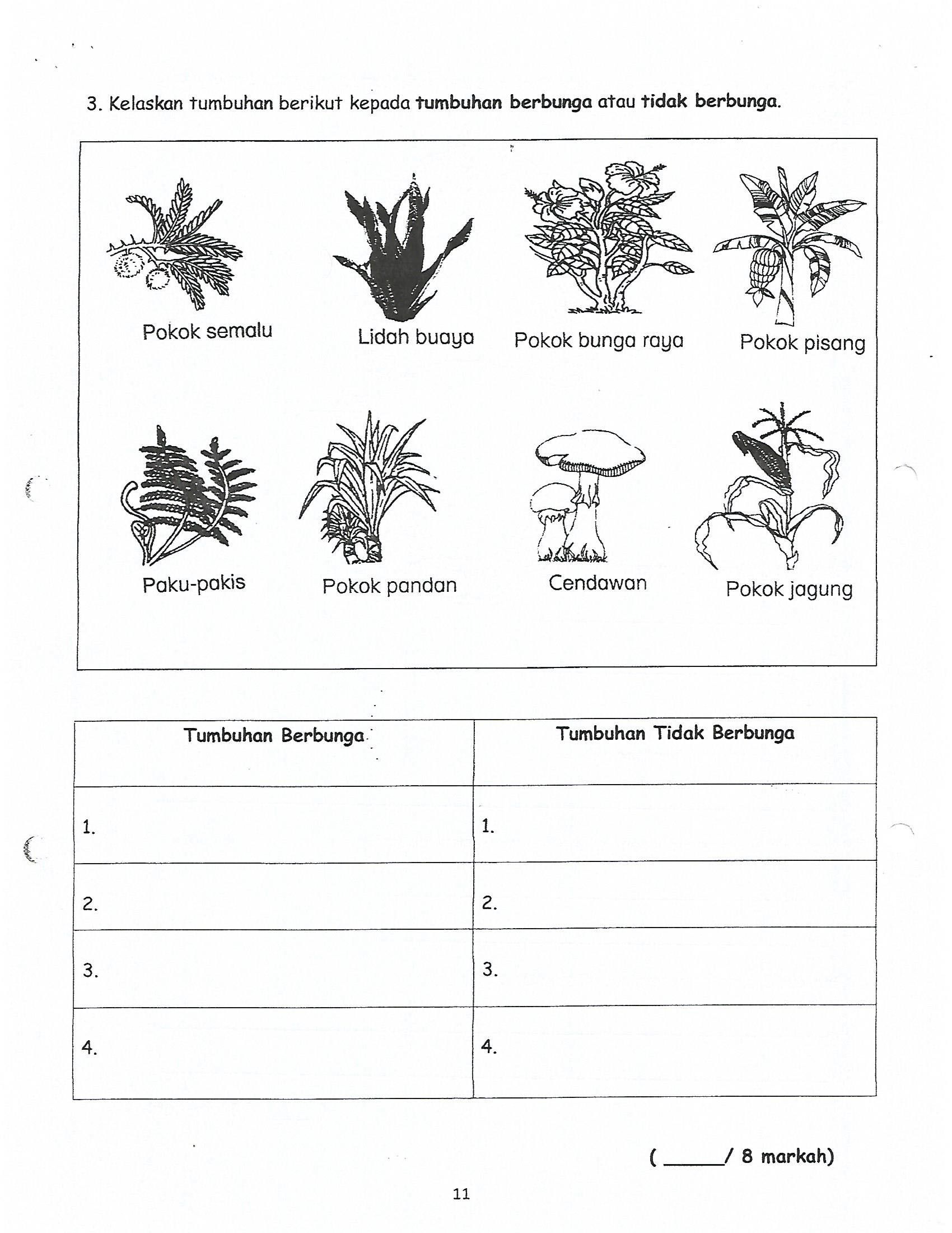 Lembaran Kerja Latihan Sains Tahun Tumbuhan Buku Latihan Sains | The ...