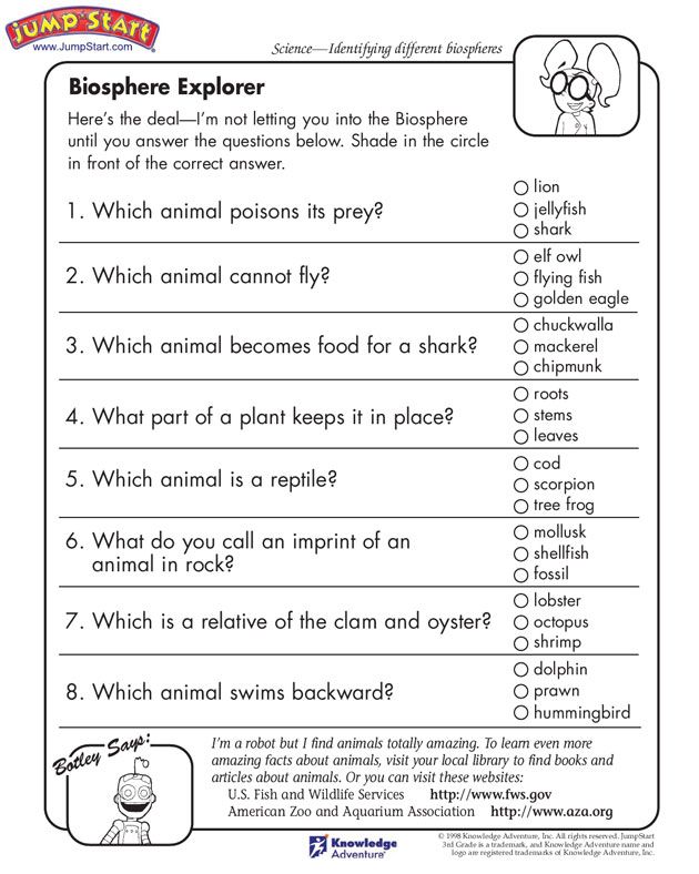 Science For 3rd Graders Worksheets