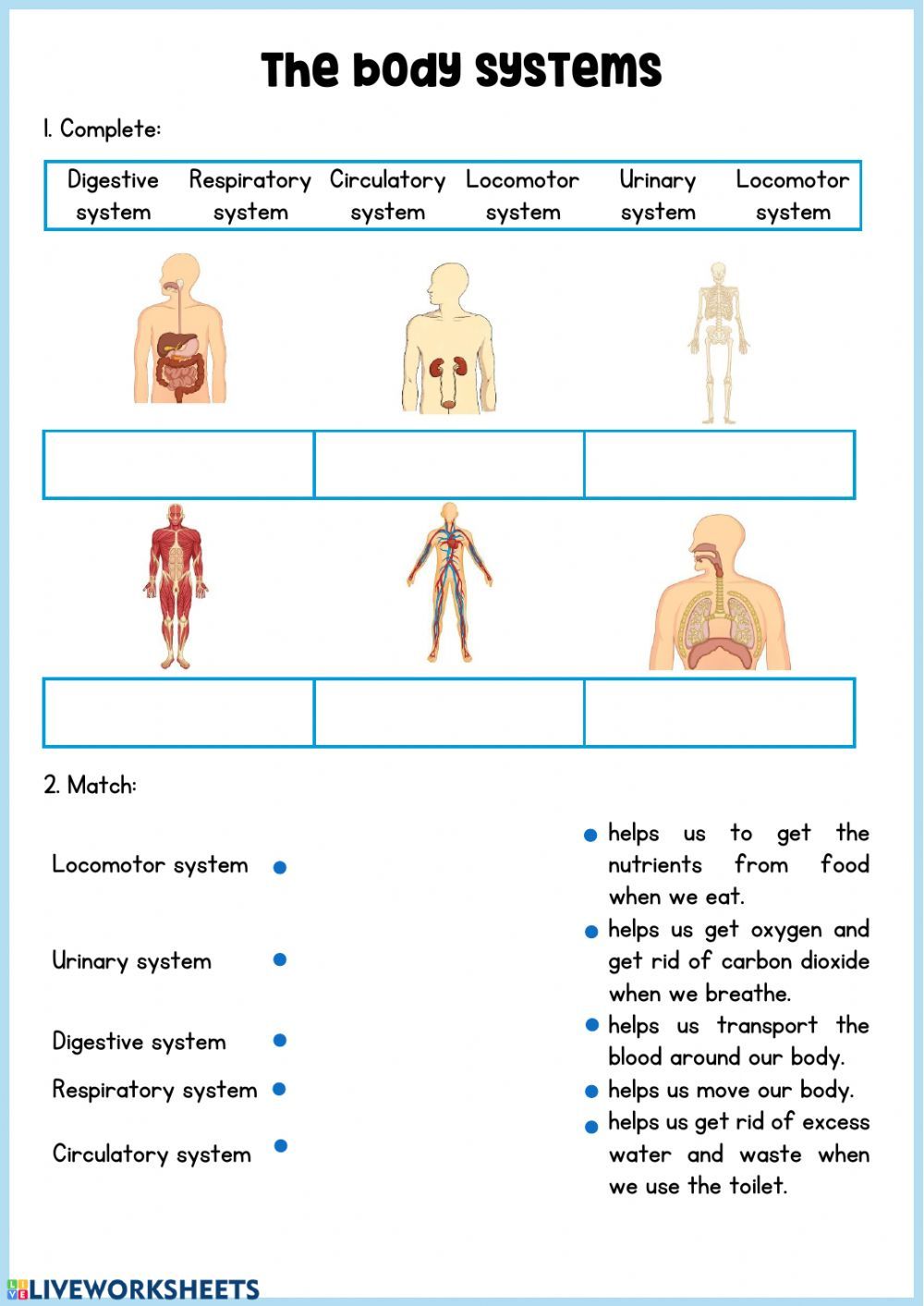 Body systems interactive exercise for 3º primaria. You can do the ...