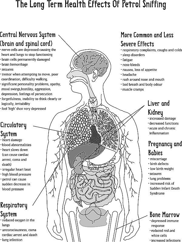 Sniffing Gasoline Side Effects | Alcohol Effects On Body Alcohol ...