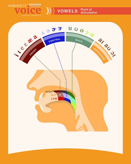 Bruce Myhre | Speech language therapy, Speech and language, Phonetics