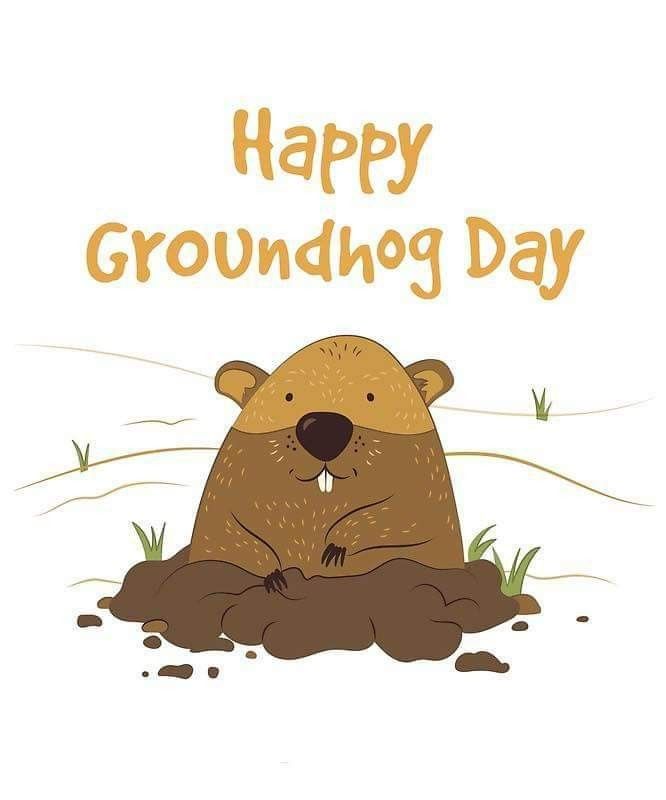 Pin by Rhonda Gordon on holidays | Happy groundhog day, Groundhog day ... image.