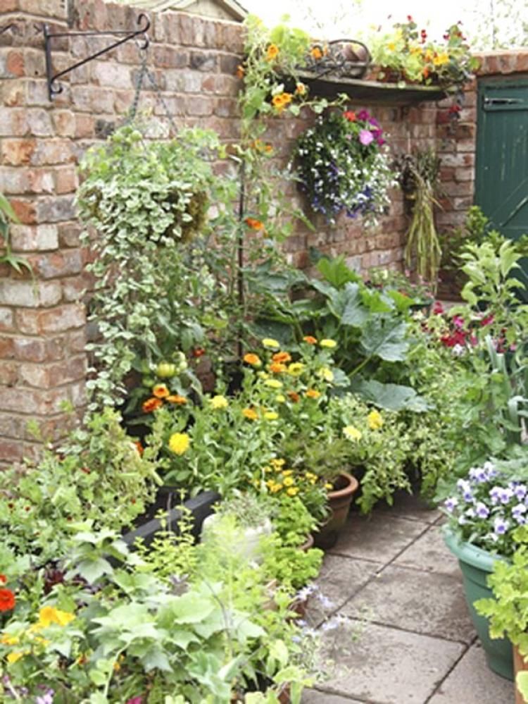 20+ Marvelous Container Garden Ideas for Herbs Pots Container