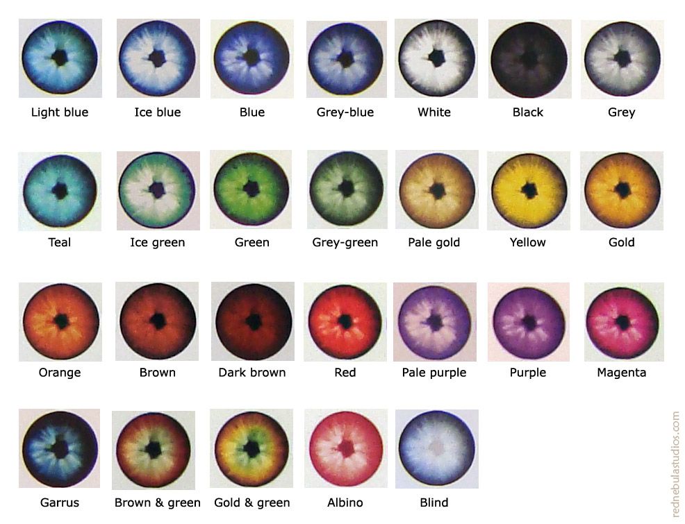 rare eye colors chart - Google Search | Eye color chart, Rare eye ...