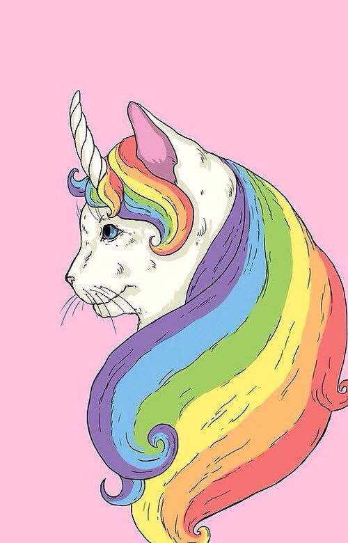 Gato cornio colorido ) Real Unicorn, Unicorn Cat, Rainbow Unicorn ...