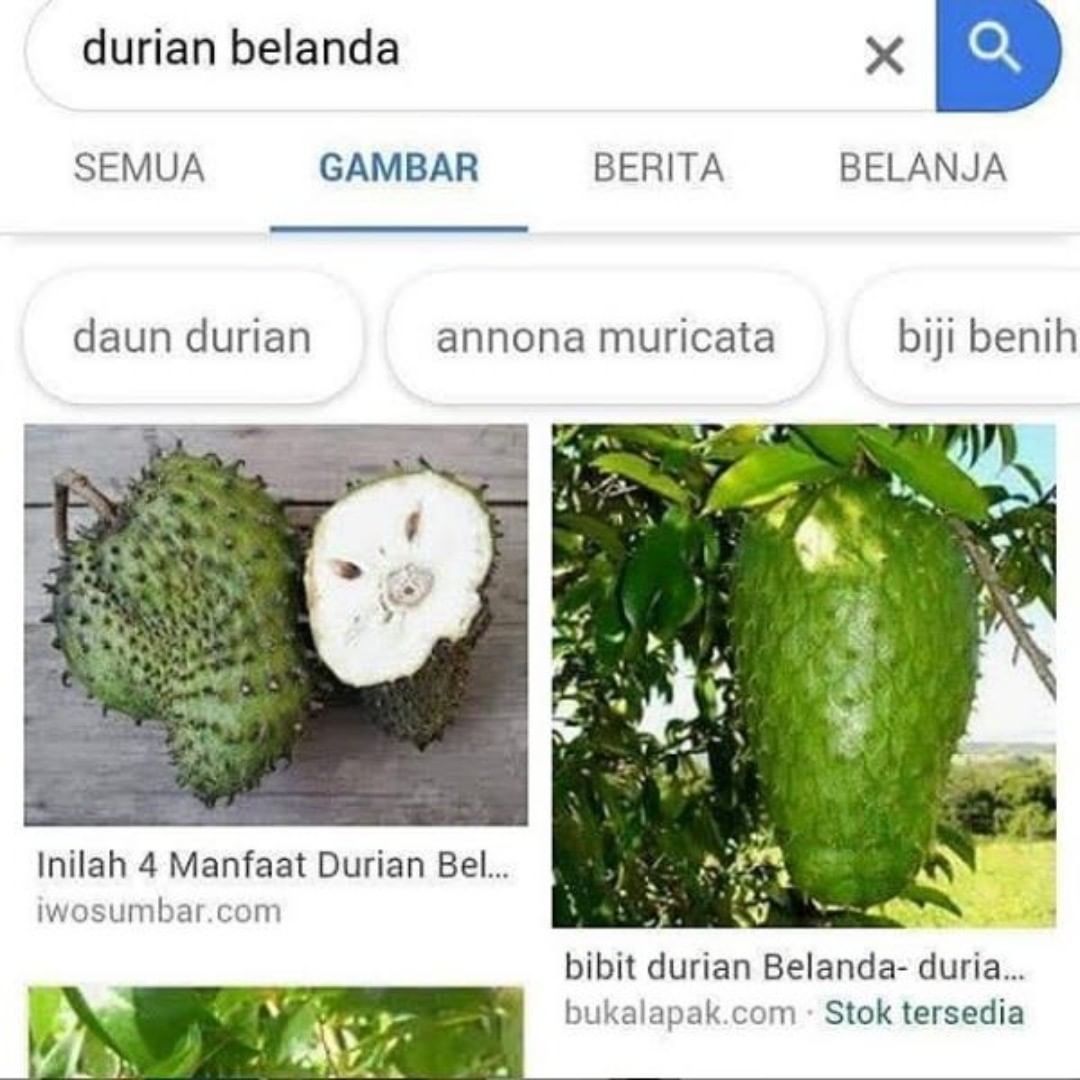 Durian Funny Quotes