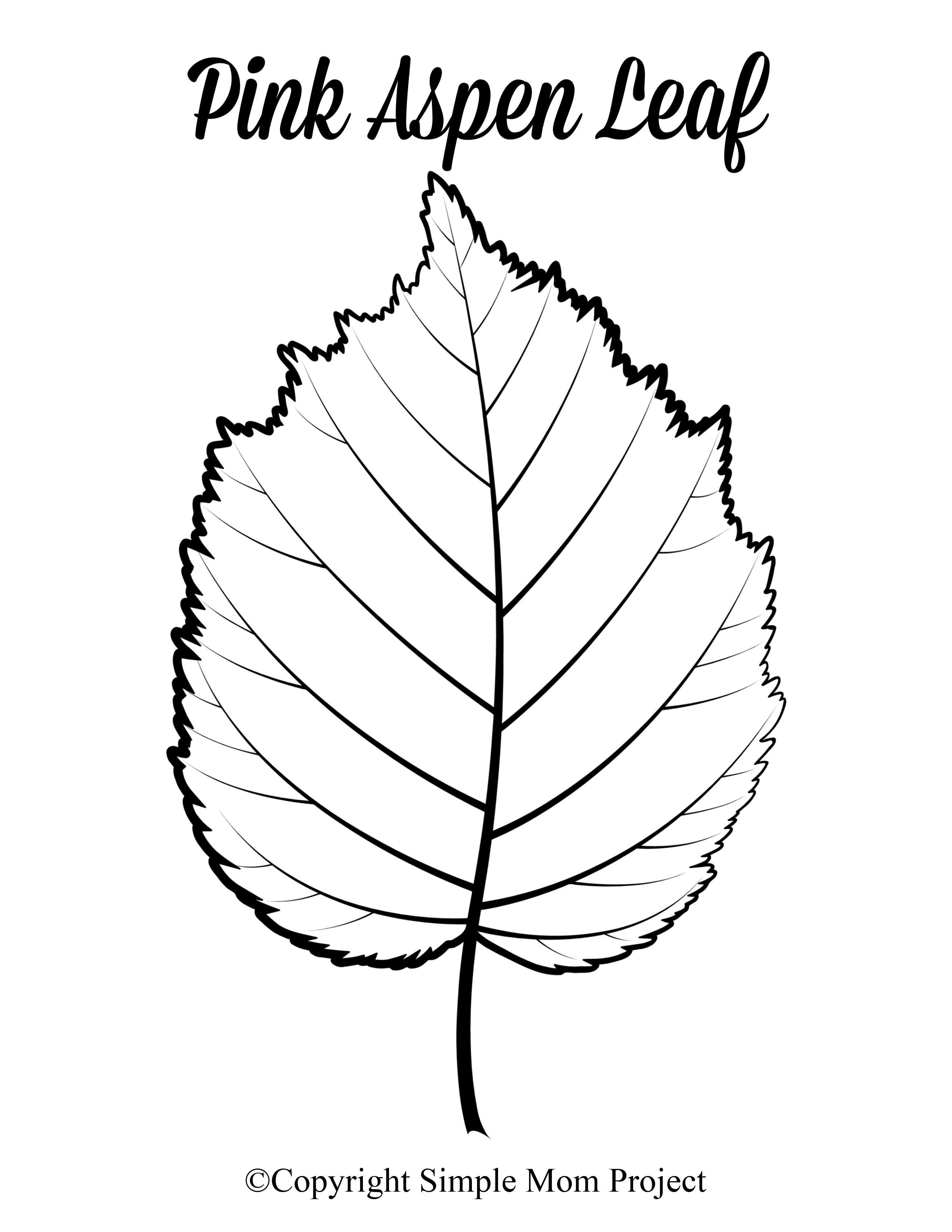 Leaf Template Printable Free Pdf