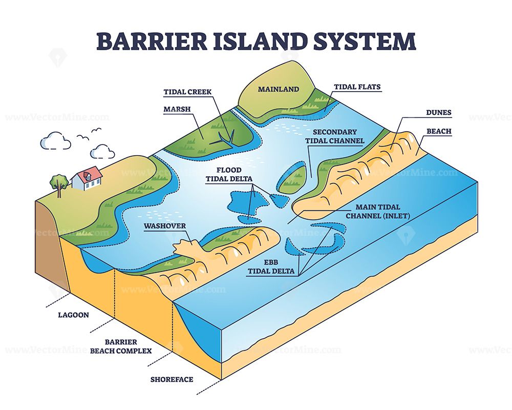 Barrier island systems as dune type and coastal landforms outline ...