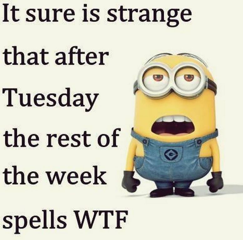 Minion Memes Funny Clean Quotes