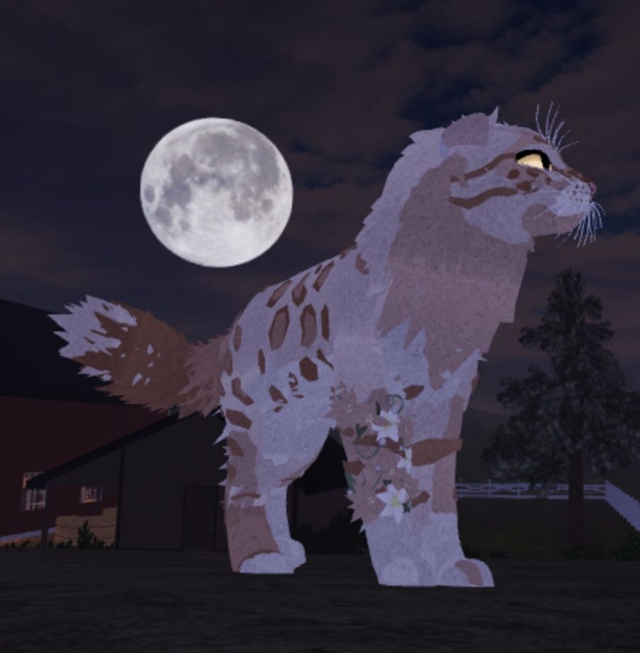 Warrior Cats Ultimate Edition Game Showcase And My