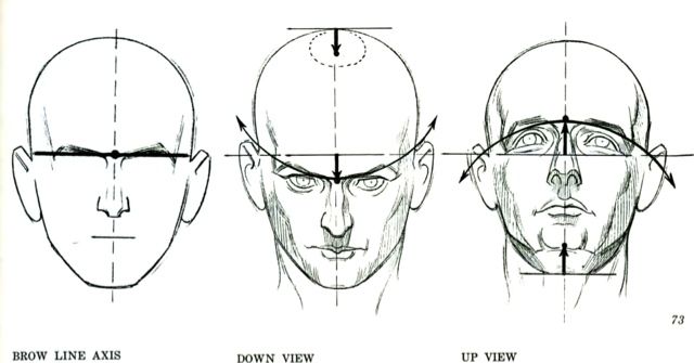 Burne Hogarth- how to draw the head in perspective | Drawing the human ...