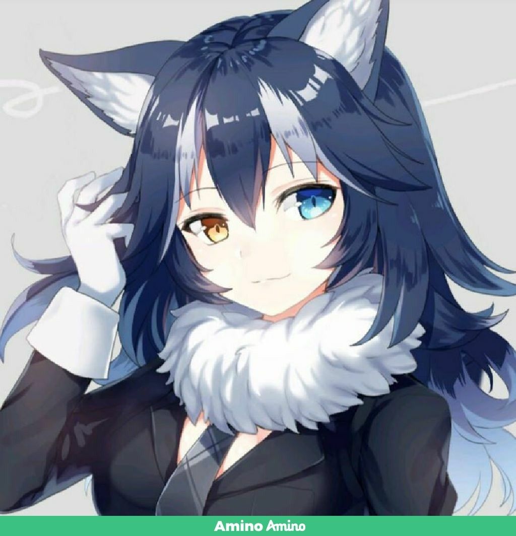 Cute Anime Girl With Wolf » Arthatravel.com