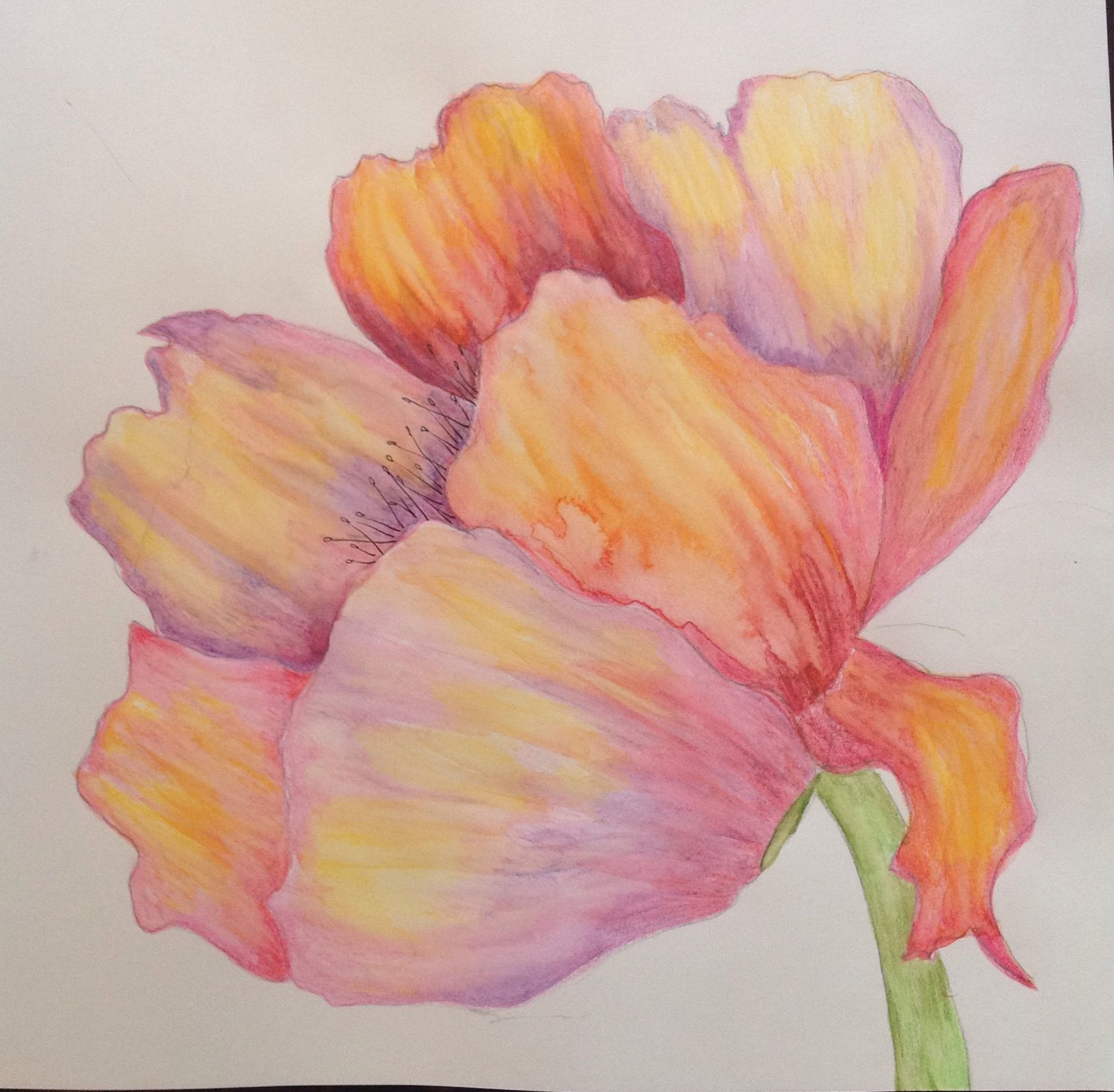 Simple Watercolor Pencil Flowers