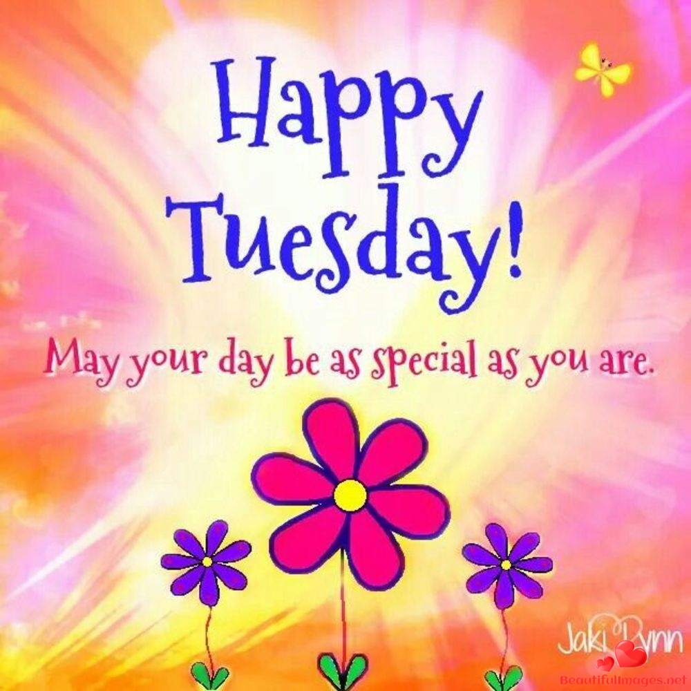 Happy Tuesday | Happy tuesday quotes, Tuesday quotes, Happy tuesday morning