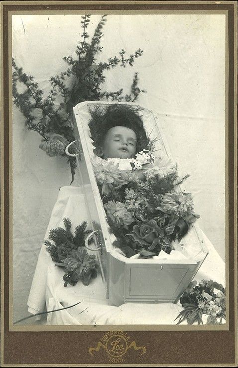 Many flowers.... Memento Mori Photography, Post Mortem Pictures, Next ...