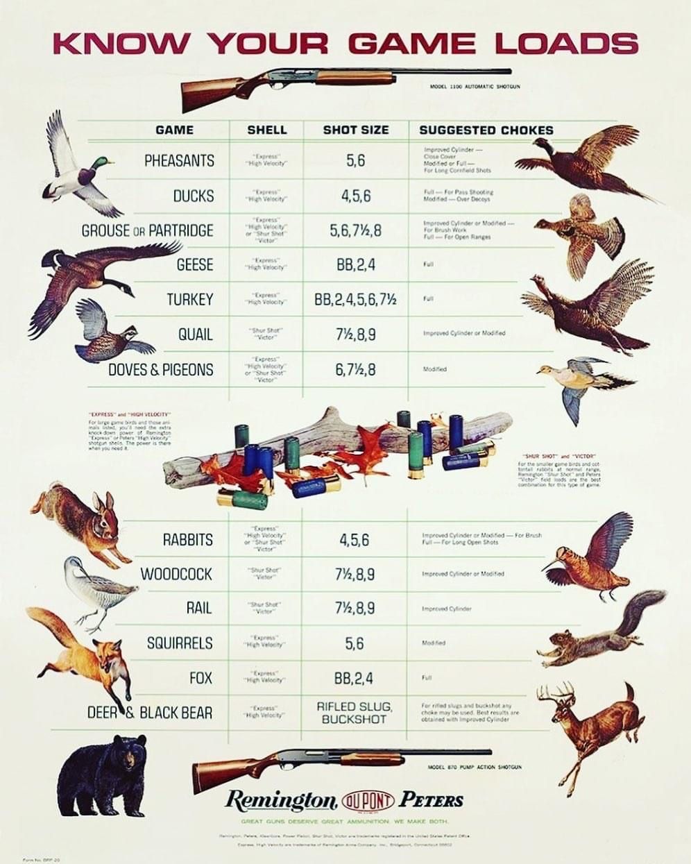 Pin by Marthahill on Misc | Waterfowl hunting, Upland bird hunting ... image.