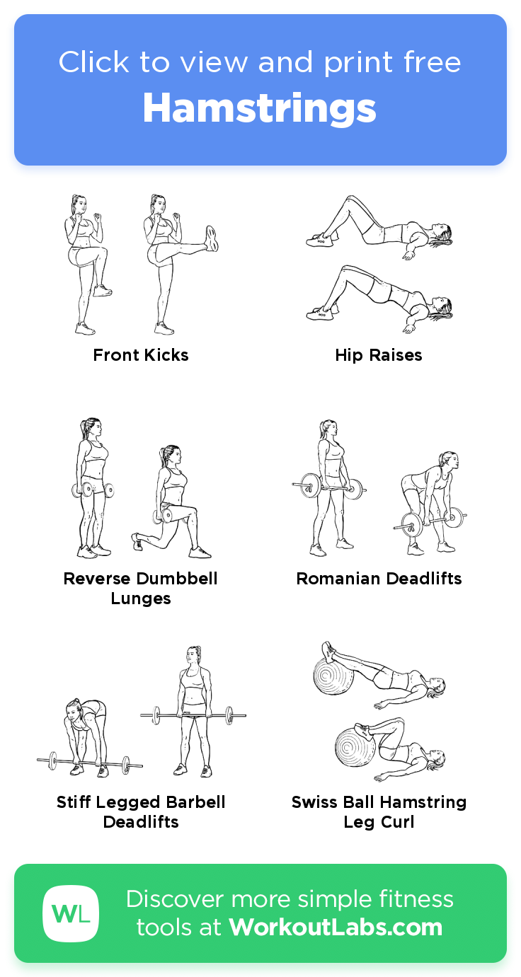 Hamstrings – click to view and print this illustrated exercise plan ...