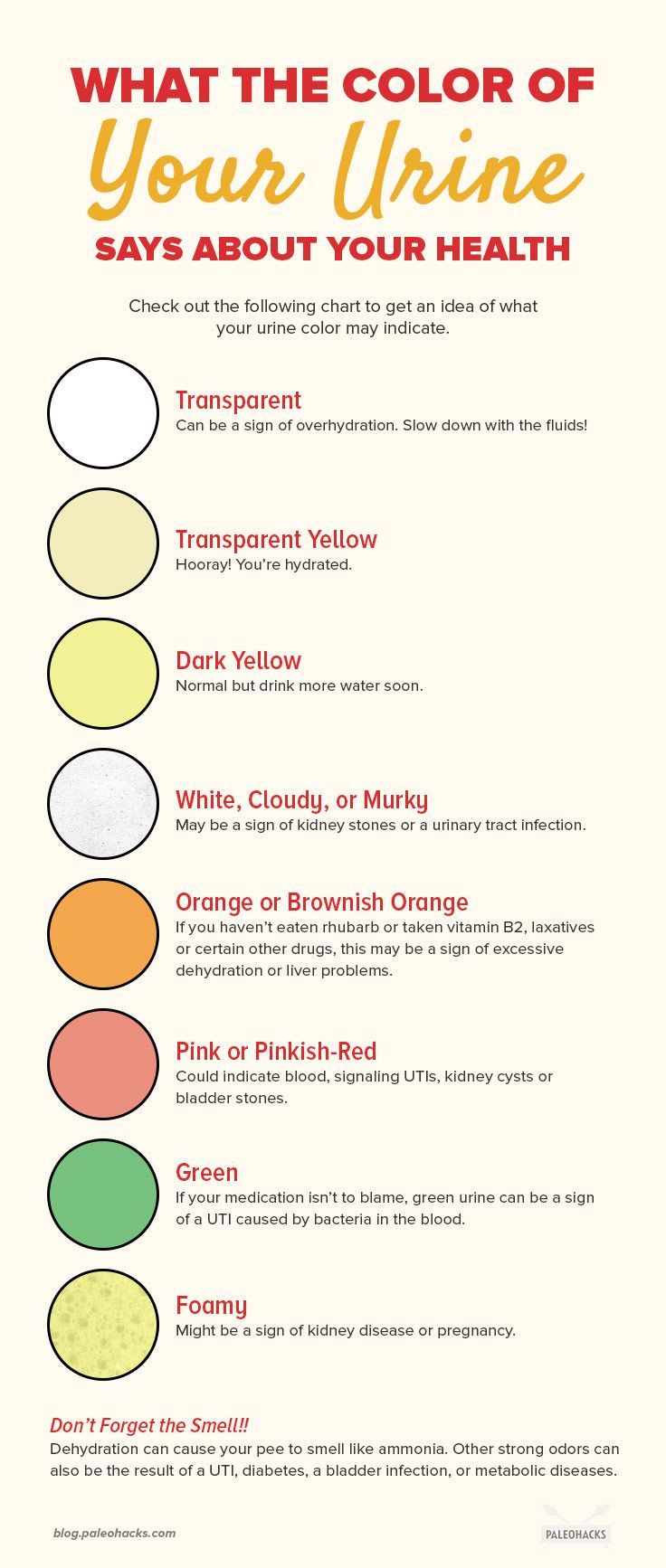 urine chart urinal color health - pseudohyphae and budding yeast cells ...