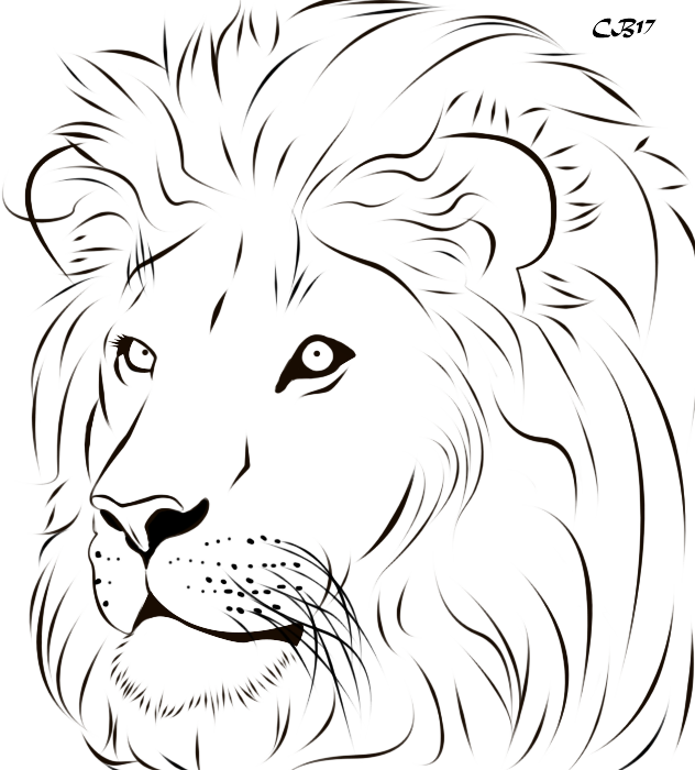 Cat Artwork, Drawing Artwork, Line Art Drawings, Easy Drawings, Lion